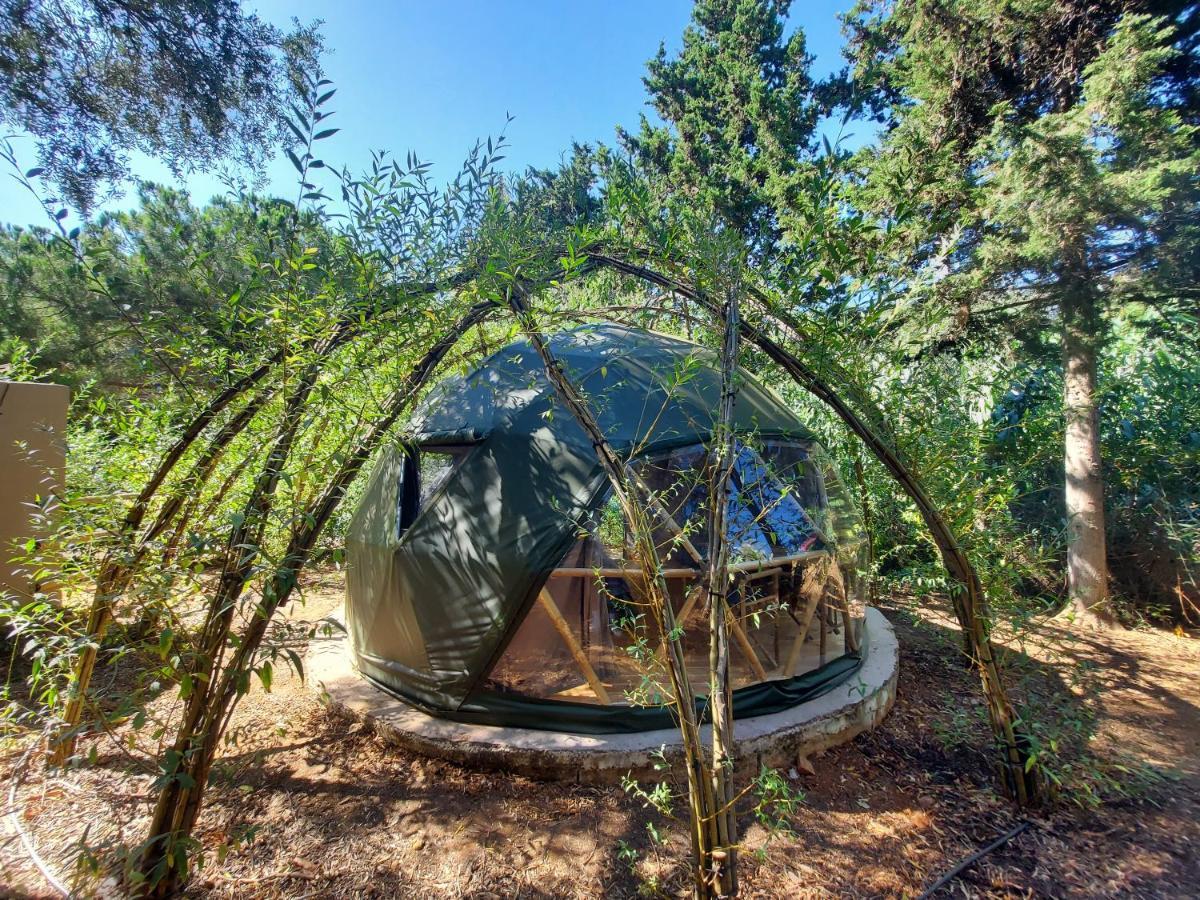 Salema Eco Camp - Sustainable Camping & Glamping 외부 사진