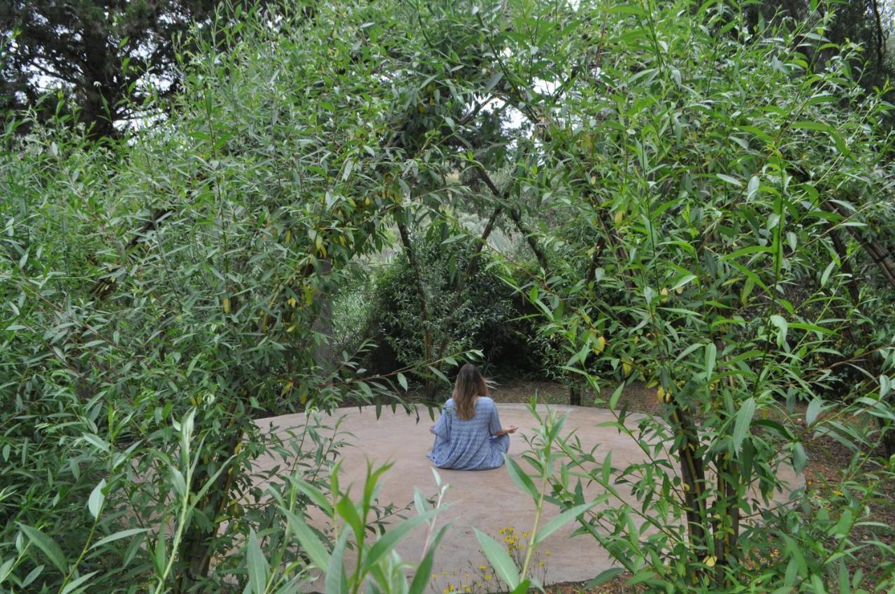 Salema Eco Camp - Sustainable Camping & Glamping 외부 사진